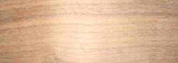 CHAP WALNUT 1 1/2 S/P 500