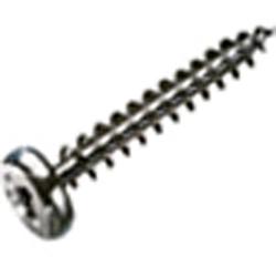 TOR ROB PAN HEAD 8X1 3/4