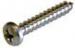 TOR WS PAN HEAD SS 10 X 2 1/2