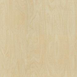 L F RAW BIRCHPLY NG 4X8 F