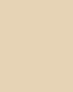 L F DESERT BEIGE 4X8 1/16 M