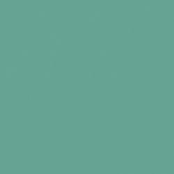L F JADEITE M 4X8 F