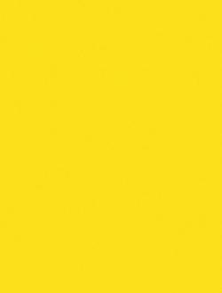 L L ELECTRIC YELLOW 4X8 IT