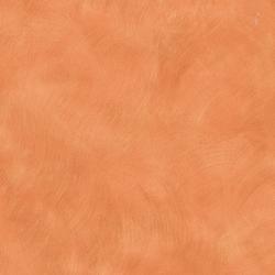 L W KARRATHA BRUSH 4X8 M