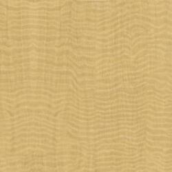 L W CONGO SPRUCE 4X8 M F