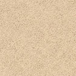L W WESTERN TAN 4X8 M F
