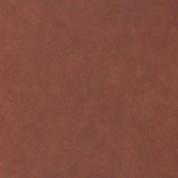 L W BURNISHED EMBER 4X8 M F