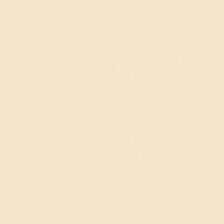 L W LIGHT BEIGE 4X8 M F