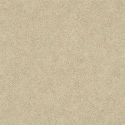 L W WESTERN SUEDE 4X8 M F