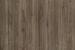 L M SMOOTH LEAVED ELM SF 4X8 F
