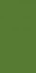 L M PARROT GREEN SF 4X8