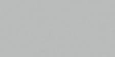 SEWON SILVER PEARL GLOSS 1MM AX