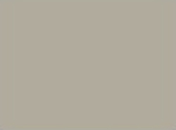 SEWON NUTMEG BROWN GLOSS 1MM AX