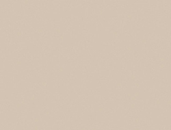 L L LATTE PFSP 30X10