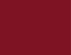 L L BURGUNDY M 4X8 SVR