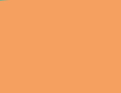 L L MANDARINA 4X8 M