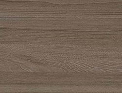 L L OLIVE ELM 4X8 PR SVR