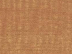L L LIMB CARMEL 4X8 M F
