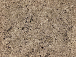 L L GRANITO FOSSIL B 30X8
