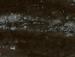 L L ALCANTARA PFSP 30X12