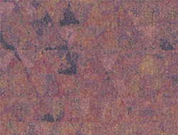 L L PRISMA RAISIN 4X8 M F