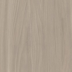 L F BUFF ELM 4X8 M HARDSTOP