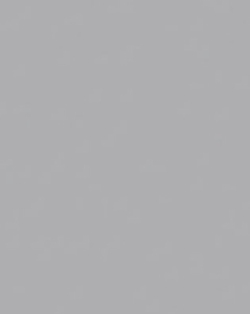 LAMINADO FOG 30X12 MATE