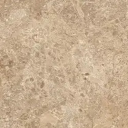 L W DESERT PASSAGE M 4X8