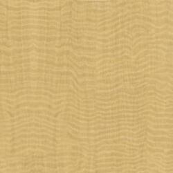 L W CONGO SPRUCE 4X8 M F