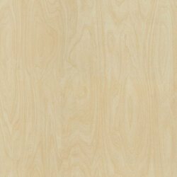 L F RAW BIRCHPLY NG 4X8 F