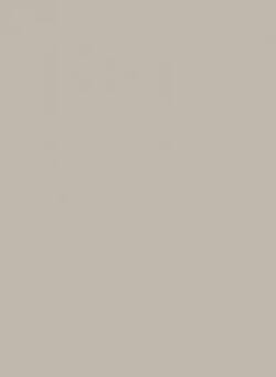 L M PUMICE GRAY PT 4X8 F