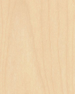 L F NATURAL MAPLE 4X8 M F