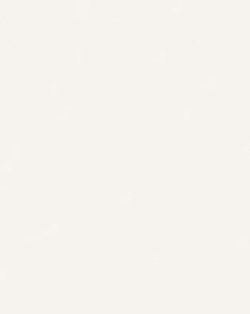 L F NEUTRAL WHITE 4X8 M F