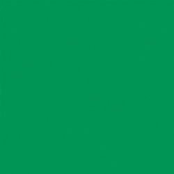 L F SPECTRUM GREEN M 4X8 F