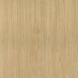 L F DANISH MAPLE M 4X8 F