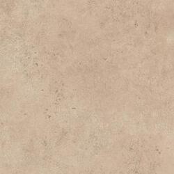 L W TAN SOAPSTONE 4X8 SS F
