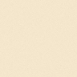 L W LIGHT BEIGE 4X8 M F