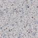 L W GREY GLACE 4X8 M F