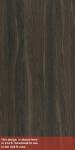 L M CEZARUS KRAFT OAK VNR 4X8 F