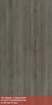 L M LAUREL OAK WIND SF 4X8 F