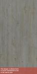 L M COUTLER ASTI PINE SCT 4X8 F