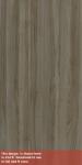 L M MANCHURIAN OLMO WAL VLY 4X8