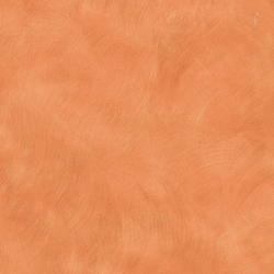 L W KARRATHA BRUSH 4X8 M
