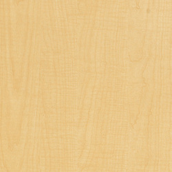 L F SAND MAPLE 4X8 M F