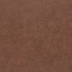 L W BURNISHED CHESTNUT 4X8 M