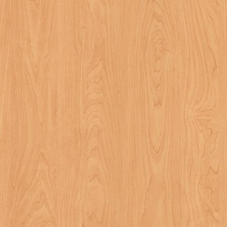 L F AMBER MAPLE 30X8 M