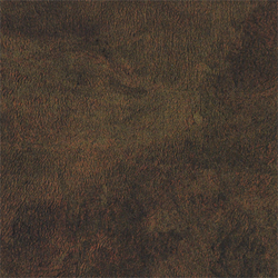 L W MEDALLION 4X8 HD F