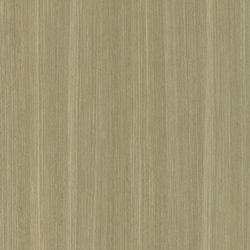 L W ALOE 4X8  TEXTURA