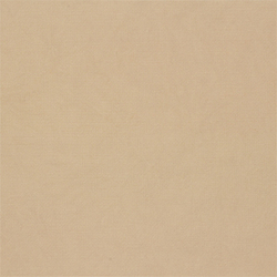 L W SOFT GOLD MESH 4X8 SS F