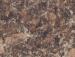 L L GRANITO COFFEE B 30X12